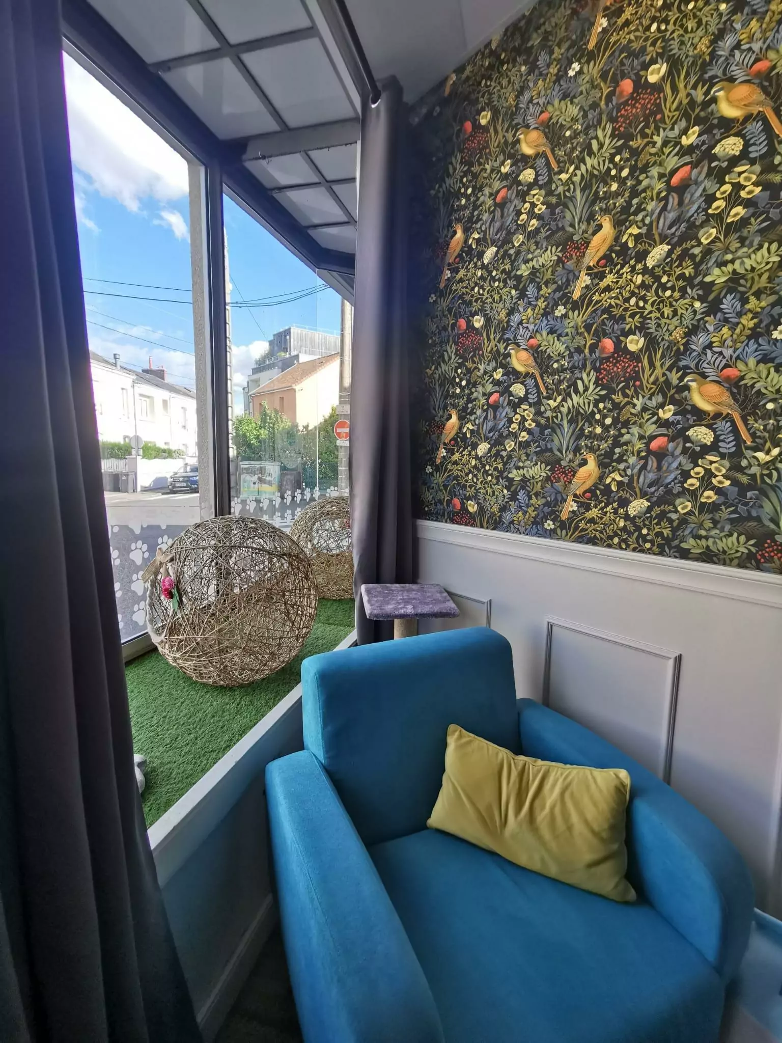 Salon chaleureux de l’hôtel pour chats Chez Grisette