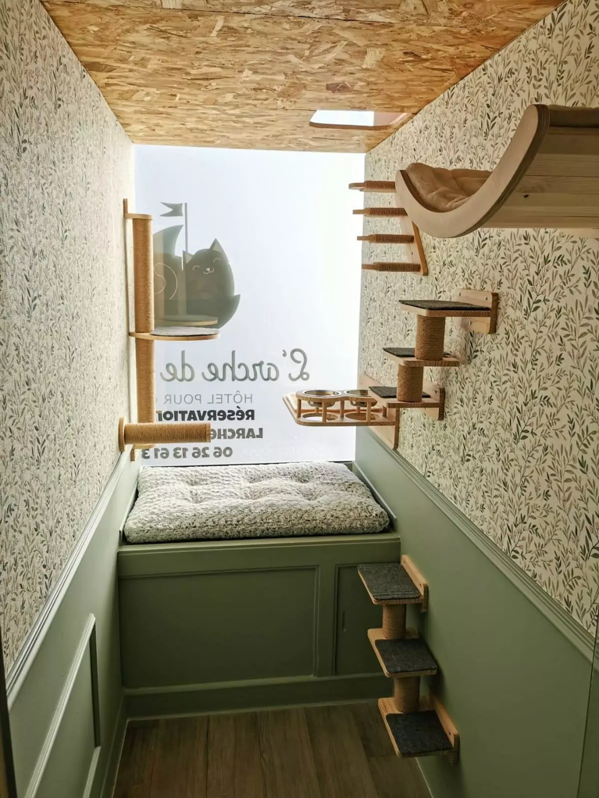 Chambre chaleureuse aménagée pour les chats chez Chez Grisette